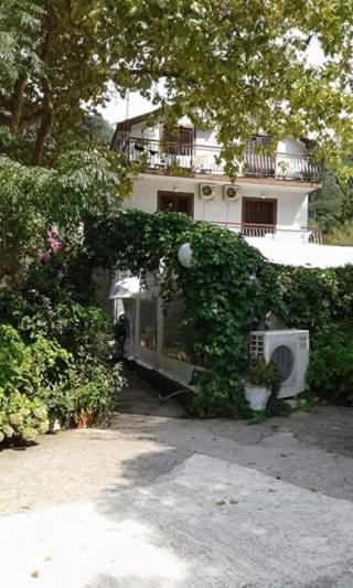 Pansion Mimoza Acomodação com café da manhã Herceg Novi Exterior foto